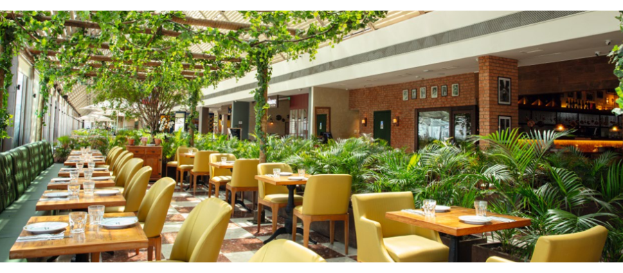 Terraco Gourmet - DESKTO _900 x 395 px_.png